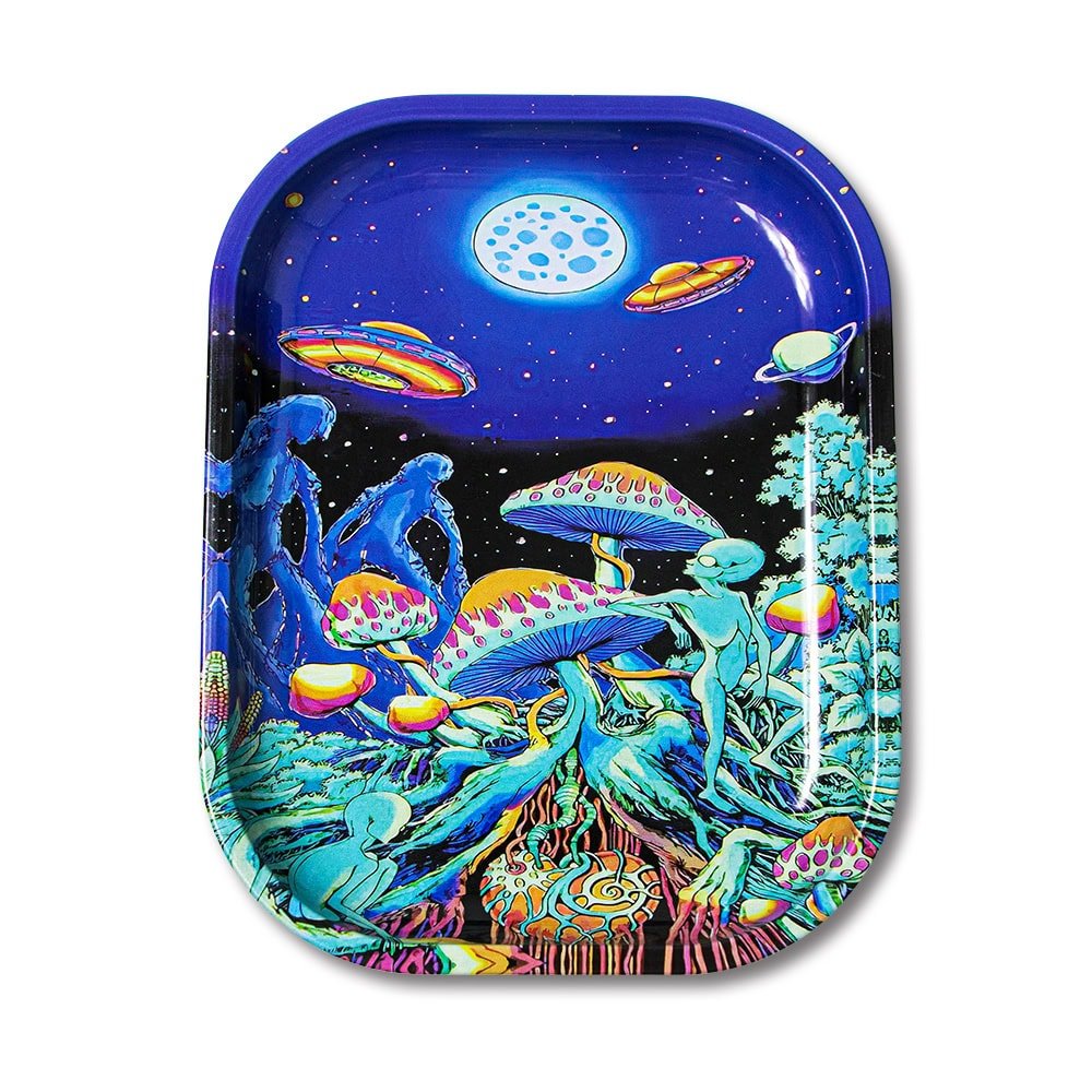 Yrsm metal-Tin Tray With Magnetic Lid - Image 4